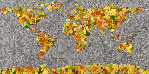 Wereldkaart Herfstblaadjes
