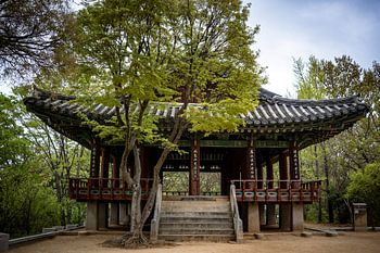 Der Pavillon der Stille