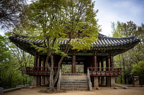 Der Pavillon der Stille