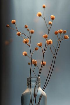Delicate Droogbloemen in Oranje ii van Studio BB