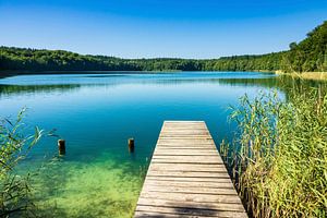 Landschaft am Trünnensee an der Mecklenburger Seenplatte