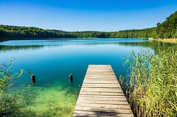 Landschaft am Trünnensee an der Mecklenburger Seenplatte