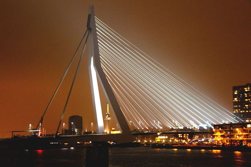 Erasmusbrücke bei Nacht von Fotografia PB