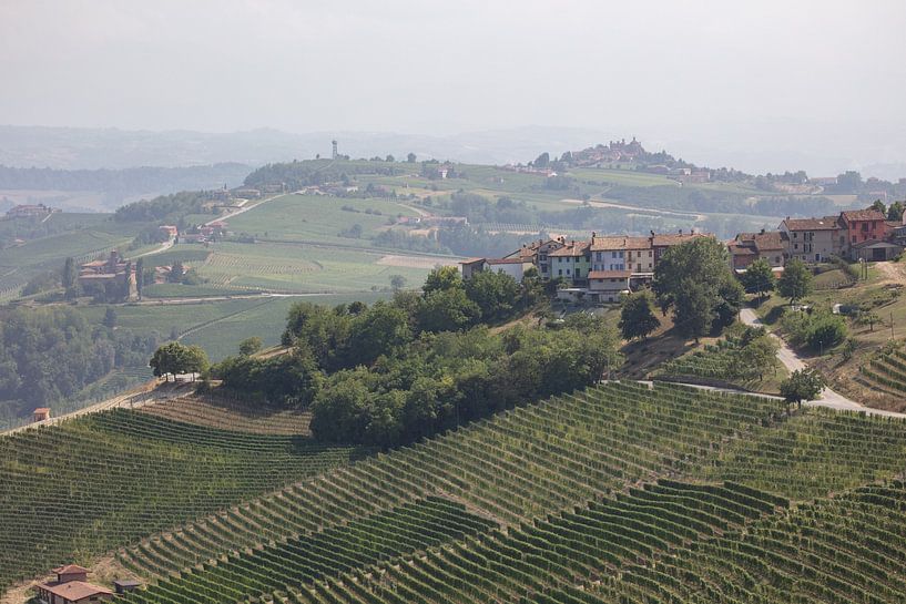 Hill with vines, Piedmont, Italy by Joost Adriaanse