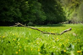 Einfachheit von Remco van Drunen