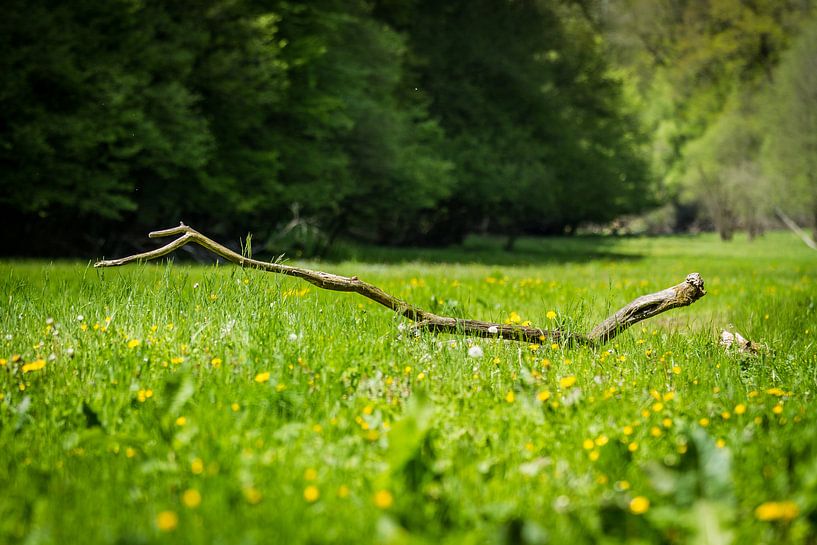 Simplicity by Remco van Drunen