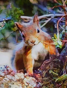 Eichhörnchen, digital bearbeitetes Foto von Janny Schilderink......Atelier "de Tuute "