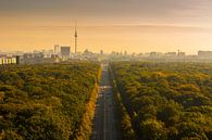 Ligne d'horizon de Berlin avec la porte de Brandebourg et la tour de télévision par Frank Herrmann Aperçu