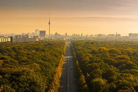 Berlin Skyline mIt Brandenburger Tor und Fernsehturm von Frank Herrmann