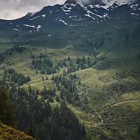 Alpine view 4 by Bart Rondeel