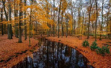 River through autumn van Mario Visser