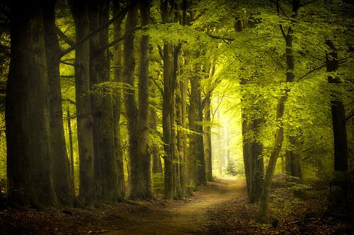 See You In The Spring