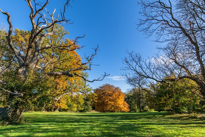 goldener Herbst im Schlosspark in Putbus von GH Foto & Artdesign