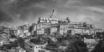 De kathedraal en de oude stad van Siena in zwart-wit. van Manfred Voss, Schwarz-weiss Fotografie