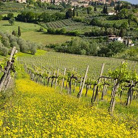 San Gimignano, Toscane van Walter G. Allgöwer