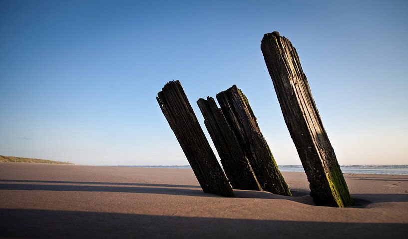 Beiträge am Strand, Holland von Dennis Claessens