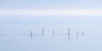 Gouwzee in de mist, 4x2