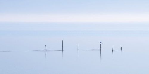 Gouwzee im Nebel, 4x2