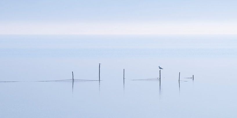 Gouwzee in de mist, 4x2 van Monika Wolters