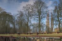 Spiegelbeeld in het stadspark te Aalst