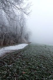 Winter en mist, Grou Friesland