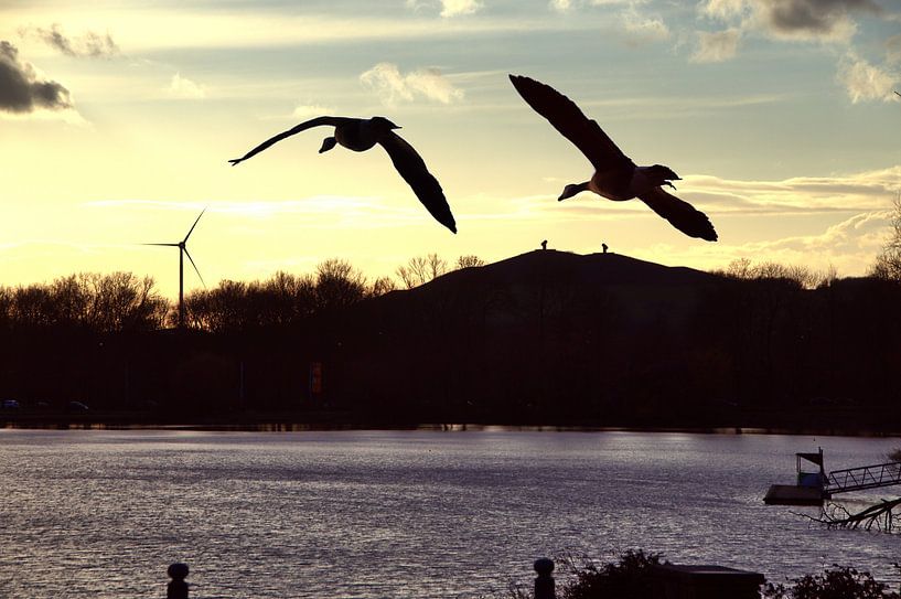 Ambiance du soir par Edgar Schermaul