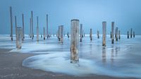 "Blaue Stunde", Palendorp in Petten von Jacqueline de Groot Miniaturansicht