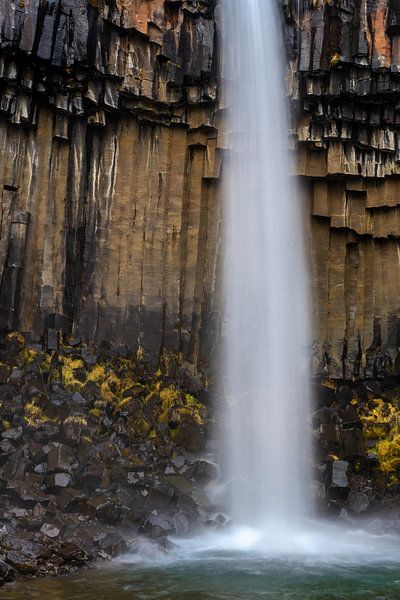 Svartifoss by Ton van den Boogaard