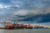 Vrachtschepen met zeecontainers bij een containerterminal in Rotterdam van Sjoerd van der Wal Fotografie thumbnail