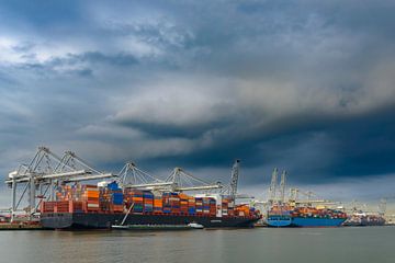 Vrachtschepen met zeecontainers bij een containerterminal in Rotterdam van Sjoerd van der Wal Fotografie