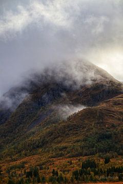 Røyrhus nakken, noorwegen van Jolisa Meints