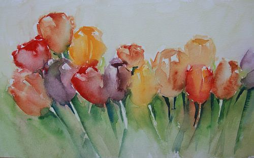Aquarel Veld met tulpen