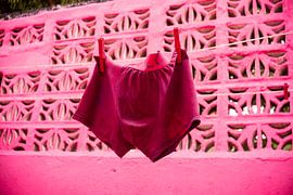 Pink Clothesline by Hazel Pasman