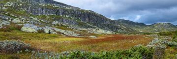 Jotunheimen National Park by Hanneke Luit