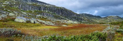 Parc national de Jotunheimen