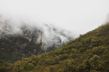 Cradle Mountain: Tasmanien's atemberaubende Wildnis von Ken Tempelers