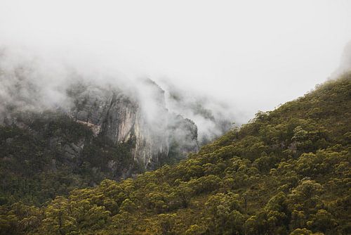 Cradle Mountain : la nature sauvage à couper le souffle de la Tasmanie sur Ken Tempelers