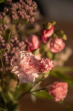 roze bloemen tijdens ondergaande zon van Manon Notebaert