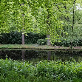 Groene lente kaders van Carla van Zomeren