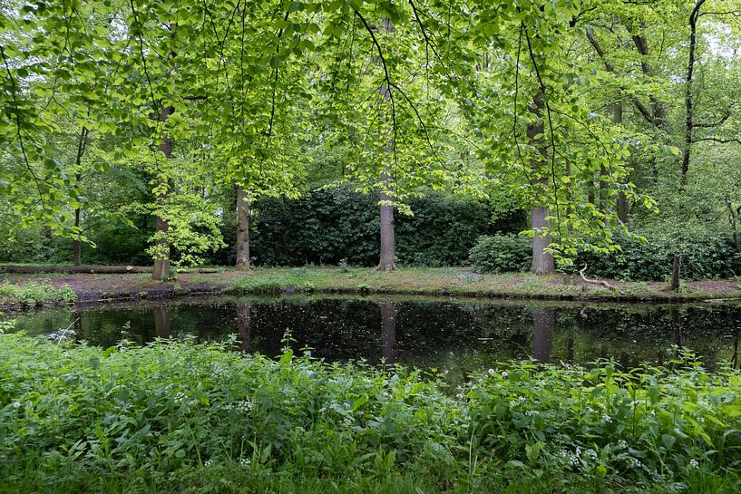 Cadres verts de printemps par Carla van Zomeren