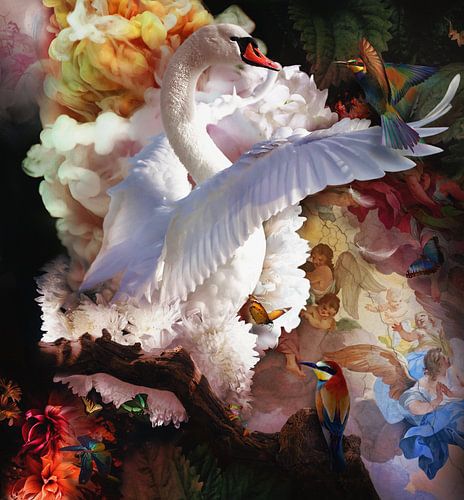 Le Cygne