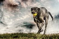 Hond speelt met bal, artistiek van Marcel Kieffer thumbnail