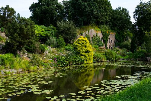 Botanical gardens in Utrecht