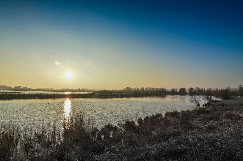 Next to the riverWaal in Holland by Patrick Verhoef
