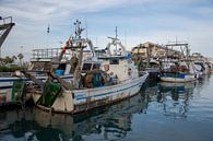 Fischerboote im Hafen von Denia in Alicante, Spanien von Joost Adriaanse Miniaturansicht