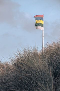 Terschelling's flag