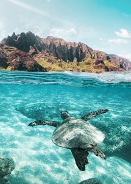 Sea Turtle by Gal Design