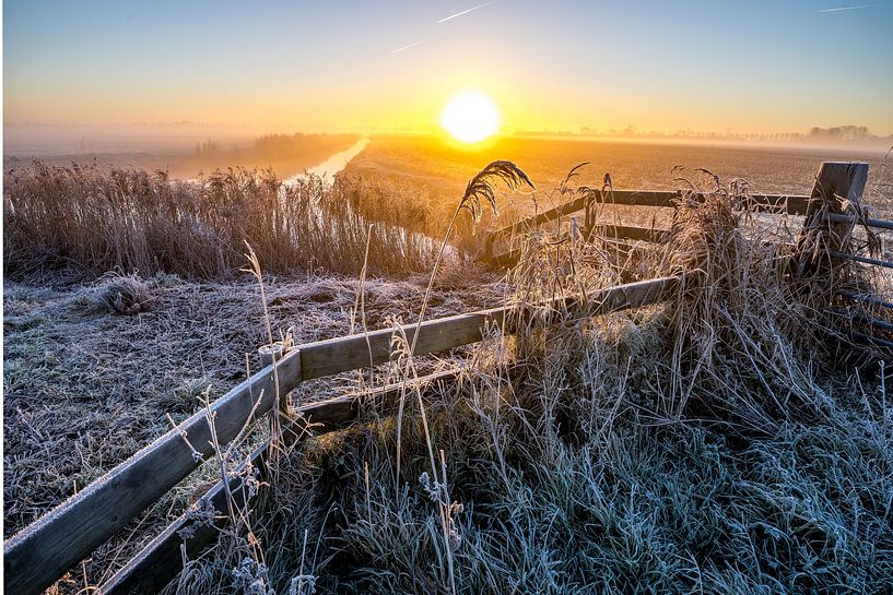 Golden Rise by peterheinspictures