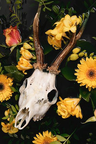 Reebok antlers - Dia de los Muertos