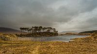 Einsame Insel